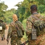 updf drc