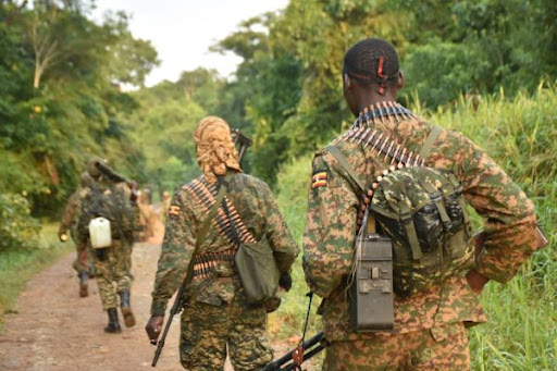 updf drc